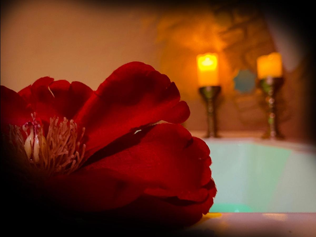 Casas Cueva El Castano Guest House ปัมปาเนย์รา ภายนอก รูปภาพ